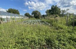 Casă cu grădină, situată la doar 10 km de Bistrița