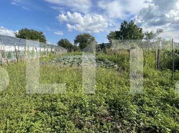 Casa de vânzare 2 camere Nord - 156324CV | BLITZ Bistriţa | Poza8