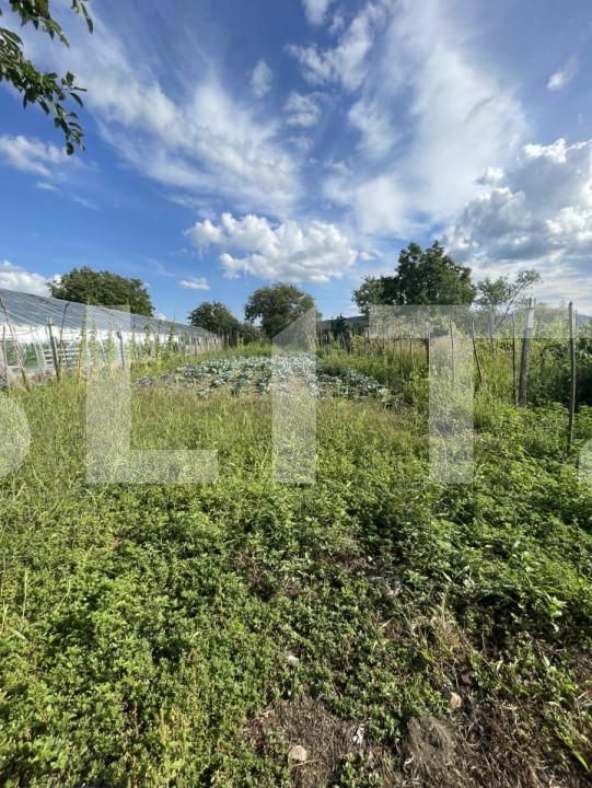 Casa de vânzare 2 camere Nord - 156324CV | BLITZ Bistriţa | Poza8