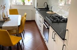 Apartament, 2 camere, zona Sanovil Viisoara
