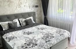 Apartament, 2 camere, zona Sanovil Viisoara