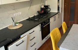 Apartament, 2 camere, zona Sanovil Viisoara