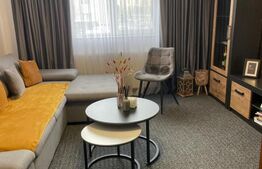 Apartament, 2 camere, zona Sanovil Viisoara