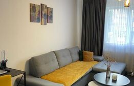 Apartament, 2 camere, zona Sanovil Viisoara