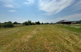 Teren extravilan, 2660mp, Jelna