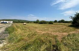 Teren extravilan, 2660mp, Jelna