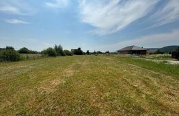 Teren extravilan, 2660mp, Jelna