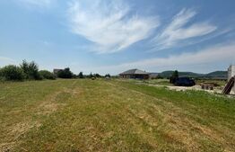 Teren extravilan, 2660mp, Jelna