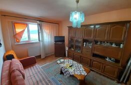 Apartament, 1 camera, decomandat, 48mp, zona Big