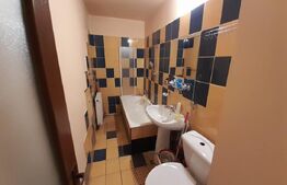 Apartament, 1 camera, decomandat, 48mp, zona Big