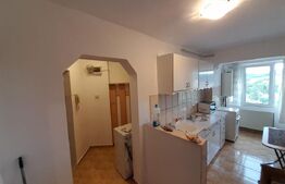 Apartament, 1 camera, decomandat, 48mp, zona Big