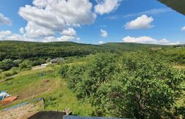 Casa 180mp utili, 15 ari de teren, Valea Slatinitei