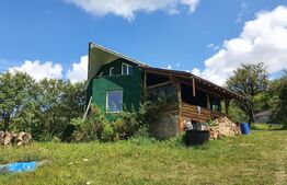 Casa 180mp utili, 15 ari de teren, Valea Slatinitei