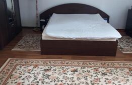 Casa, 40 km de Bistrița, 60 ari teren