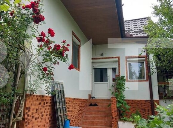 Casa de vânzare 6 camere Exterior Sud - 156521CV | BLITZ Bistriţa | Poza13