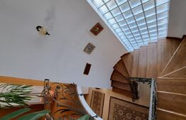 Casa/vila, teren 7 ari, zona linistita Subcetate