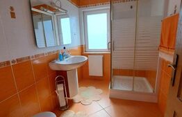 Casa/vila, teren 7 ari, zona linistita Subcetate