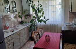 Apartament, 4 camere, zona Apolo