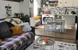 Casa, 3 dormitoare, 120 mp, 500mp teren, Dealul Budacului