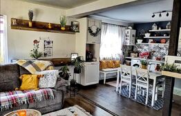 Casa, 3 dormitoare, 120 mp, 500mp teren, Dealul Budacului