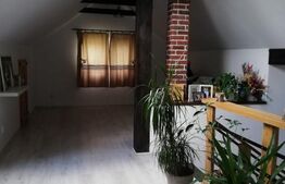 Casa, 3 dormitoare, 120 mp, 500mp teren, Dealul Budacului