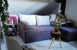 Casa, 3 dormitoare, 120 mp, 500mp teren, Dealul Budacului