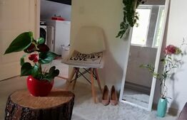 Casa, 3 dormitoare, 120 mp, 500mp teren, Dealul Budacului