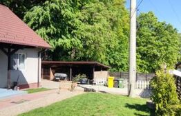 Casa, 3 dormitoare, 120 mp, 500mp teren, Dealul Budacului