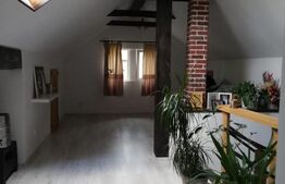 Casa, 3 dormitoare, 120 mp, 500mp teren, Dealul Budacului