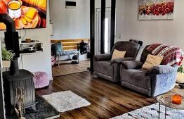 Casa, 3 dormitoare, 120 mp, 500mp teren, Dealul Budacului