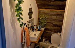 Casa, 3 dormitoare, 120 mp, 500mp teren, Dealul Budacului