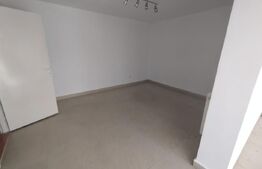 Spatiu comercial, 48 mp, parter, Zona Bv Decebal