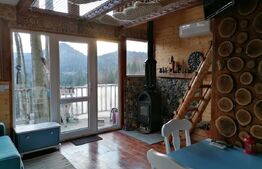 Cabana rustica, Colibita, 10 ari de teren