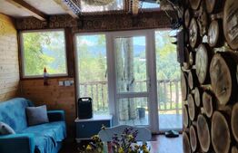 Cabana rustica, Colibita, 10 ari de teren