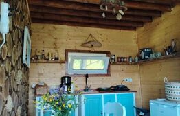 Cabana rustica, Colibita, 10 ari de teren