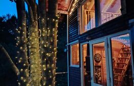 Cabana rustica, Colibita, 10 ari de teren