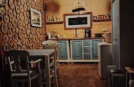 Cabana rustica, Colibita, 10 ari de teren