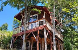 Cabana rustica, Colibita, 10 ari de teren