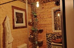 Cabana rustica, Colibita, 10 ari de teren