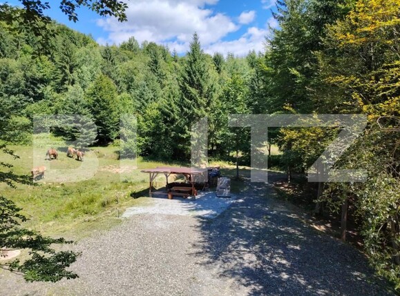 Casa de vânzare 2 camere Exterior Nord - 156911CV | BLITZ Bistriţa | Poza15