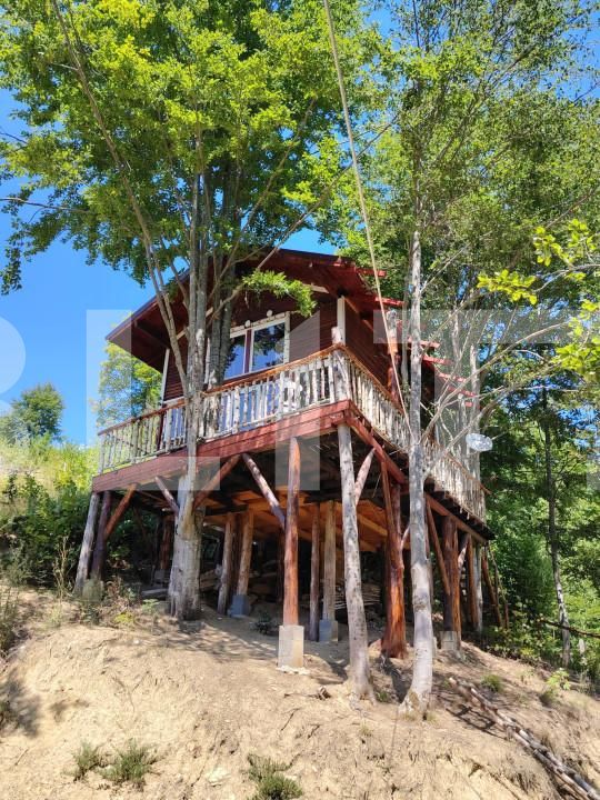 Casa de vânzare 2 camere Exterior Nord - 156911CV | BLITZ Bistriţa | Poza6