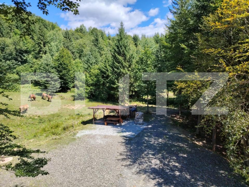 Casa de vânzare 2 camere Exterior Nord - 156911CV | BLITZ Bistriţa | Poza15