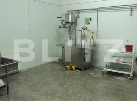 Spațiu industrial de vânzare Sud - 156921SVI | BLITZ Bistriţa | Poza16