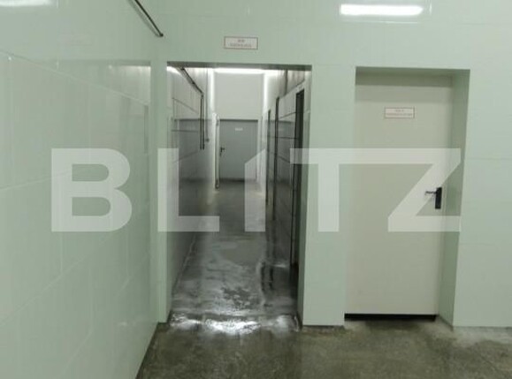 Spațiu industrial de vânzare Sud - 156921SVI | BLITZ Bistriţa | Poza1