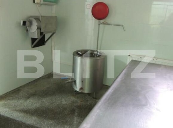 Spațiu industrial de vânzare Sud - 156921SVI | BLITZ Bistriţa | Poza13