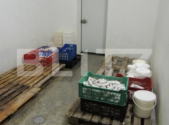 Spațiu industrial de vânzare Sud - 156921SVI | BLITZ Bistriţa | Poza14