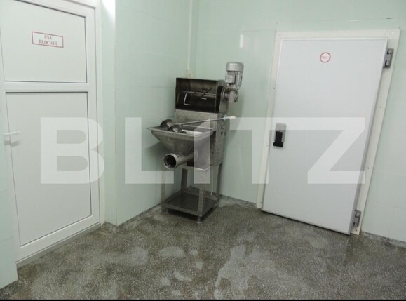 Spațiu industrial de vânzare Sud - 156921SVI | BLITZ Bistriţa | Poza12