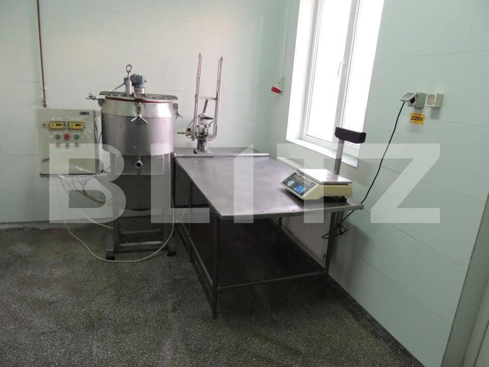 Spațiu industrial de vânzare Sud - 156921SVI | BLITZ Bistriţa | Poza5