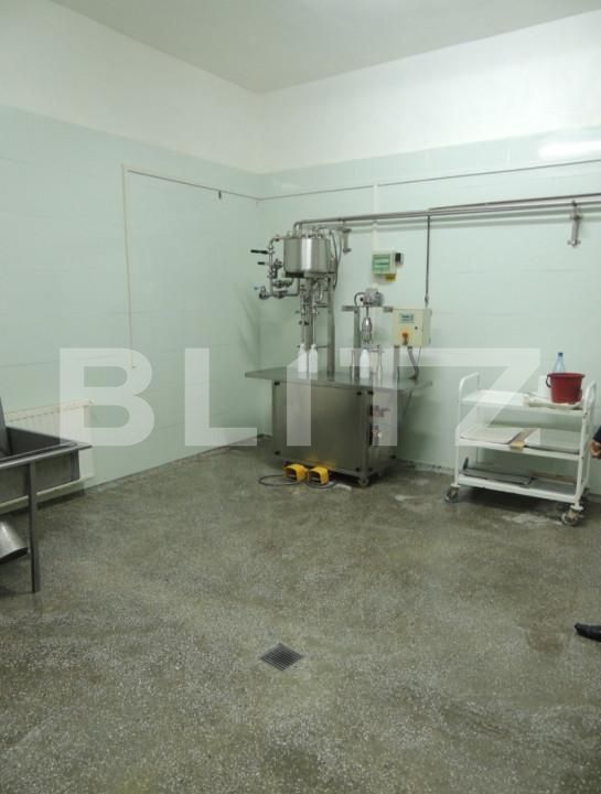 Spațiu industrial de vânzare Sud - 156921SVI | BLITZ Bistriţa | Poza16