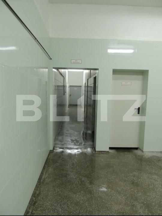 Spațiu industrial de vânzare Sud - 156921SVI | BLITZ Bistriţa | Poza1